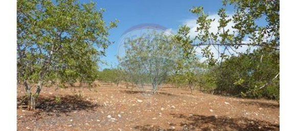100m² Land in Albufeira, Portugal No. 43071 3