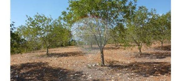 100m² Land in Albufeira, Portugal No. 43071 5