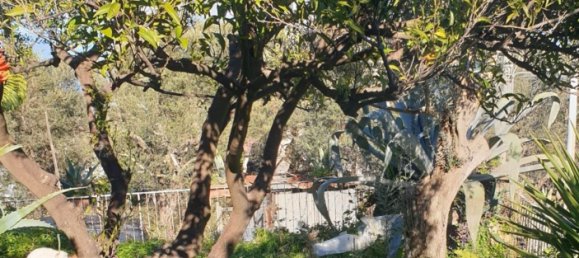 4-Zimmer Wohnung in Sorrento, Italy, Nr. 149724 4