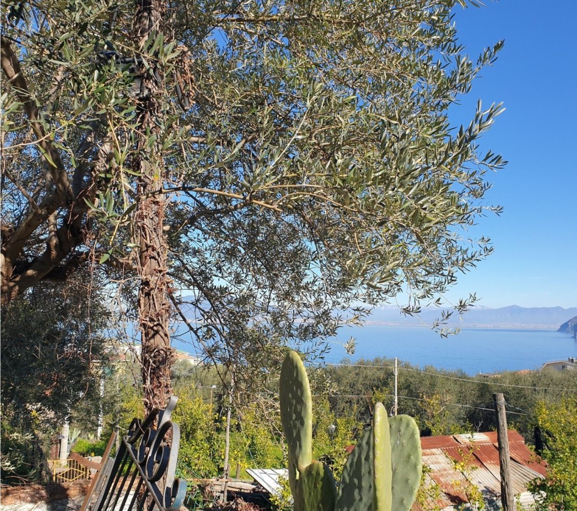 4-Zimmer Wohnung in Sorrento, Italy, Nr. 149724