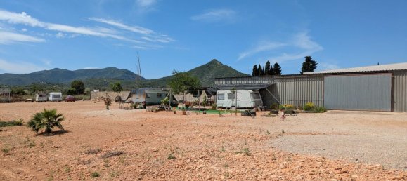  قطعة أرض في Amposta, Spain رقم 159251 5