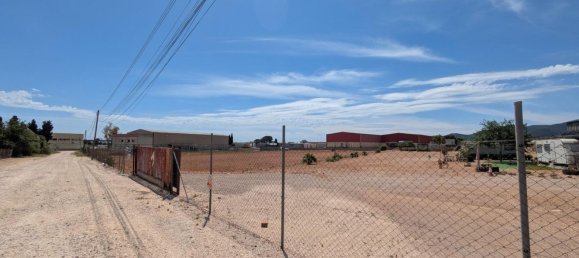  قطعة أرض في Amposta, Spain رقم 159251 3