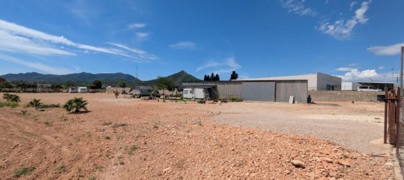  قطعة أرض في Amposta, Spain رقم 159251 6