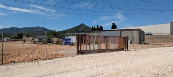  قطعة أرض في Amposta, Spain رقم 159251 4