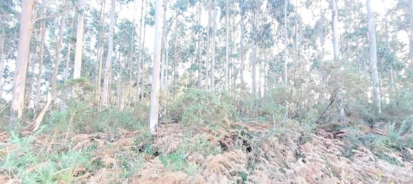 Terreno en La Coruña, Spain No. 48533 35