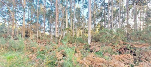 Terreno en La Coruña, Spain No. 48533 28