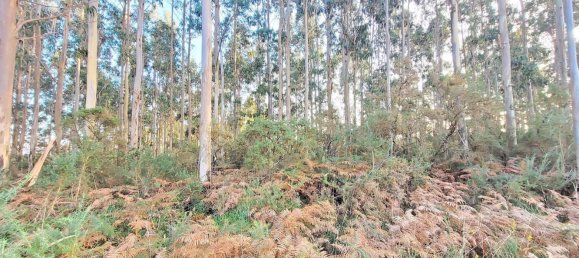 Terreno en La Coruña, Spain No. 48533 23