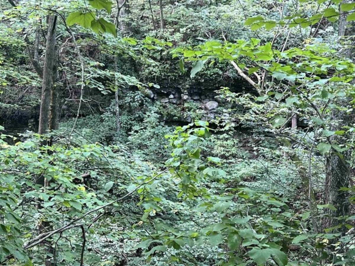 Grundstück in Portage, USA, Nr. 474011