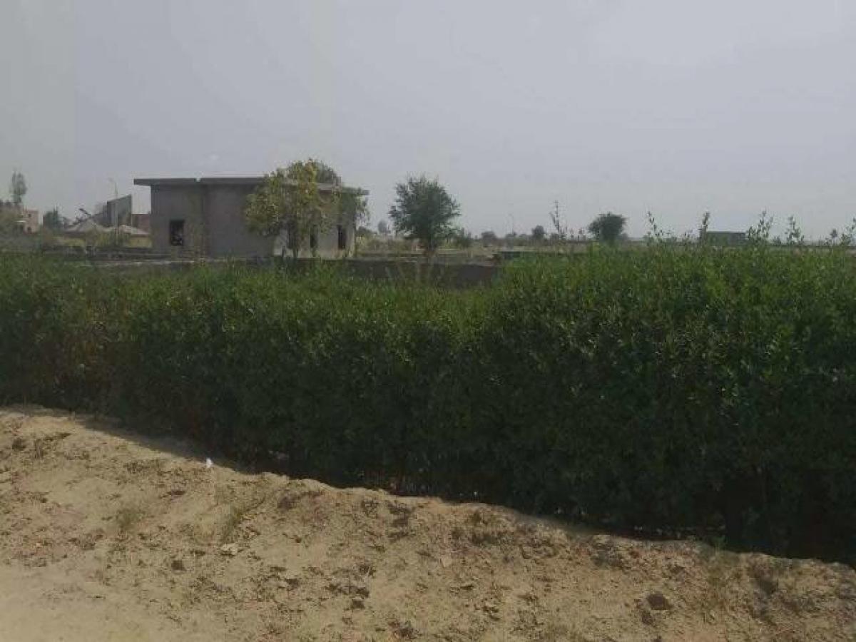  Land in Ghaziabad, India No. 31626