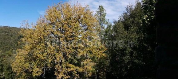 3 Schlafzimmer Haus in San Gimignano, Italy, Nr. 230080 9