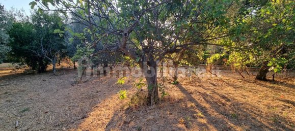 3 غرف نوم فيلا في Gallicano nel Lazio, Italy رقم 376228 31