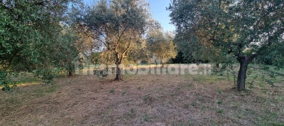 3 غرف نوم فيلا في Gallicano nel Lazio, Italy رقم 376228 33