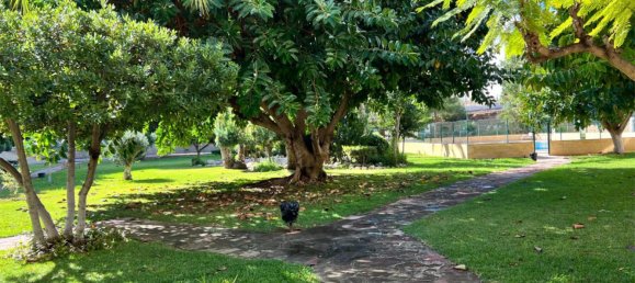 3 chambres Penthouse à Benidorm, Spain No. 190656 7