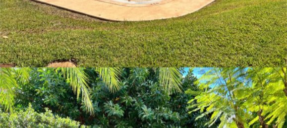 3 chambres Penthouse à Benidorm, Spain No. 190656 5