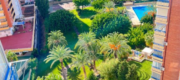 3 chambres Penthouse à Benidorm, Spain No. 190656 9