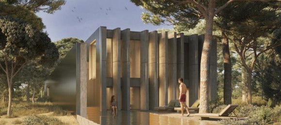 91500m² Land in Alcacer do Sal, Portugal No. 218691 6