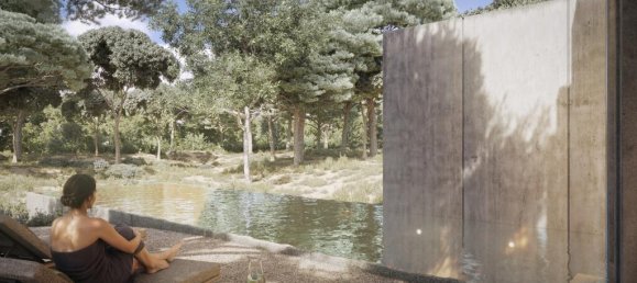 91500m² Land in Alcacer do Sal, Portugal No. 218691 11