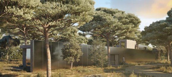 91500m² Land in Alcacer do Sal, Portugal No. 218691 2