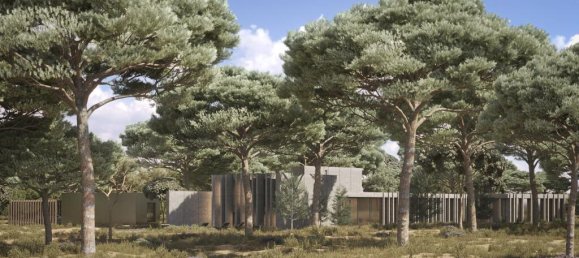 91500m² Land in Alcacer do Sal, Portugal No. 218691 3