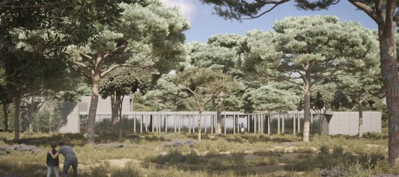 91500m² Land in Alcacer do Sal, Portugal No. 218691 5