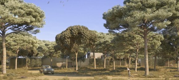 91500m² Land in Alcacer do Sal, Portugal No. 218691 10