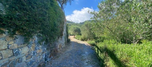 6-salle Maison à Alassio, Italy No. 39619 6