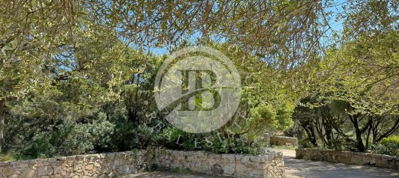 6 bedrooms Villa in Palau, Italy No. 19378 39