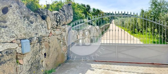 6 bedrooms Villa in Palau, Italy No. 19378 11