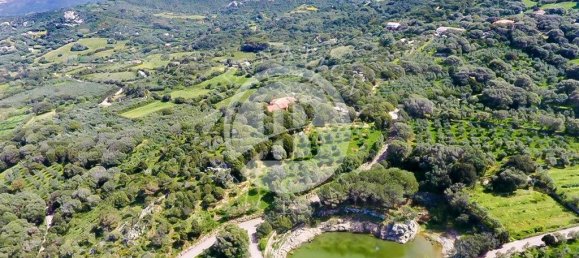 6 bedrooms Villa in Palau, Italy No. 19378 22