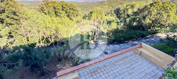 6 bedrooms Villa in Palau, Italy No. 19378 17