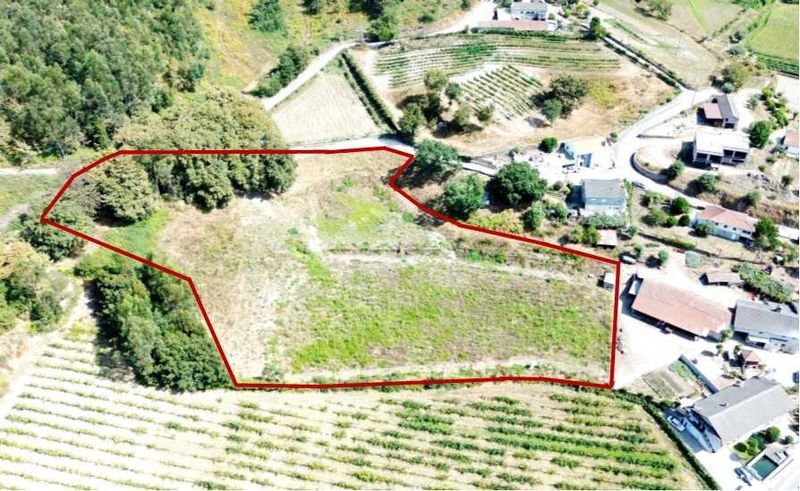 11200m² Land in Guimaraes, Portugal No. 278408