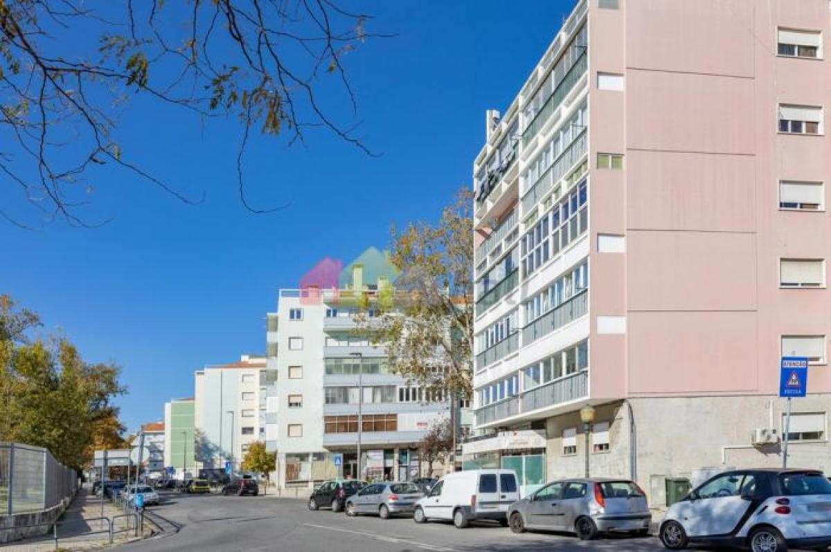 350m² Shop in Lisbon, Portugal No. 8411