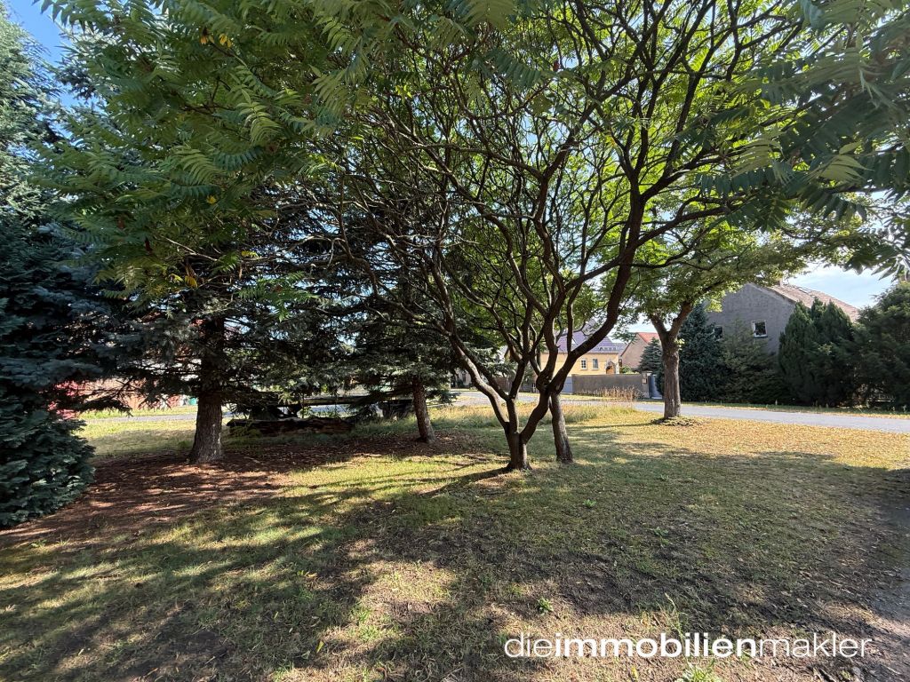 5 rooms House in Elbe-Elster, Germany No. 289034