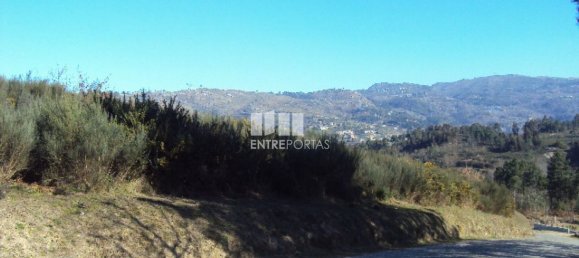 Grundstück in Marco de Canaveses, Portugal 14504m², Nr. 46092 2