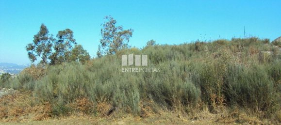 Grundstück in Marco de Canaveses, Portugal 14504m², Nr. 46092 3