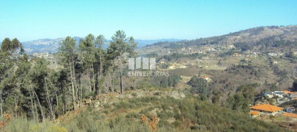 Grundstück in Marco de Canaveses, Portugal 14504m², Nr. 46092 11