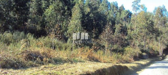 Grundstück in Marco de Canaveses, Portugal 14504m², Nr. 46092 5