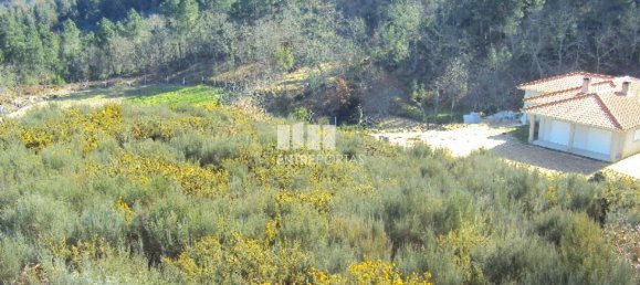 Grundstück in Marco de Canaveses, Portugal 14504m², Nr. 46092 13