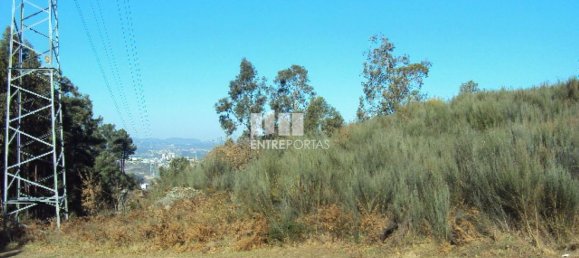 Grundstück in Marco de Canaveses, Portugal 14504m², Nr. 46092 7