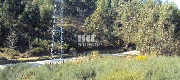 Grundstück in Marco de Canaveses, Portugal 14504m², Nr. 46092 15