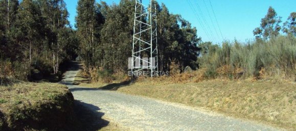 Grundstück in Marco de Canaveses, Portugal 14504m², Nr. 46092 4