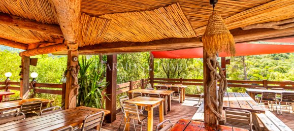 50000m² Commercial property in Ajaccio, France No. 61764 12