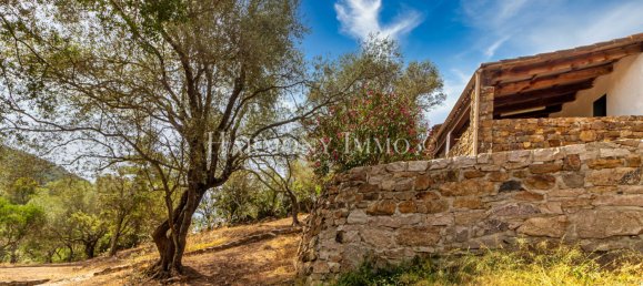 50000m² Commercial property in Ajaccio, France No. 61764 13