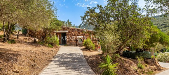 50000m² Commercial property in Ajaccio, France No. 61764 14