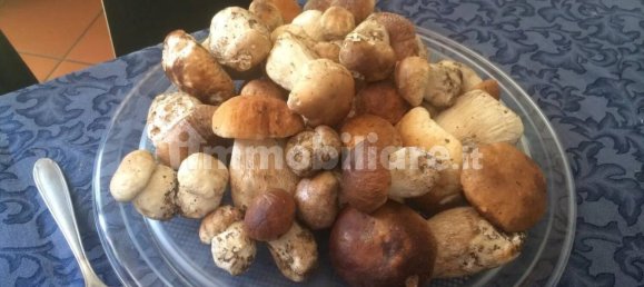 5 غرف نوم منزل في Fabbriche di Vergemoli, Italy رقم 325573 4