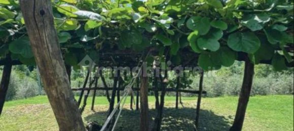 5 غرف نوم منزل في Fabbriche di Vergemoli, Italy رقم 325573 10