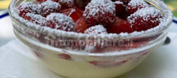 5 غرف نوم منزل في Fabbriche di Vergemoli, Italy رقم 325573 8