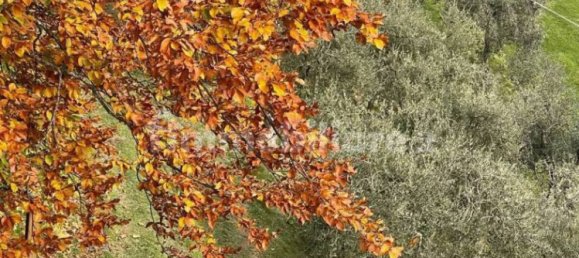 5 غرف نوم منزل في Fabbriche di Vergemoli, Italy رقم 325573 2