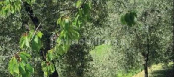 5 غرف نوم منزل في Fabbriche di Vergemoli, Italy رقم 325573 11