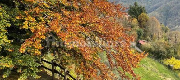 5 غرف نوم منزل في Fabbriche di Vergemoli, Italy رقم 325573 3